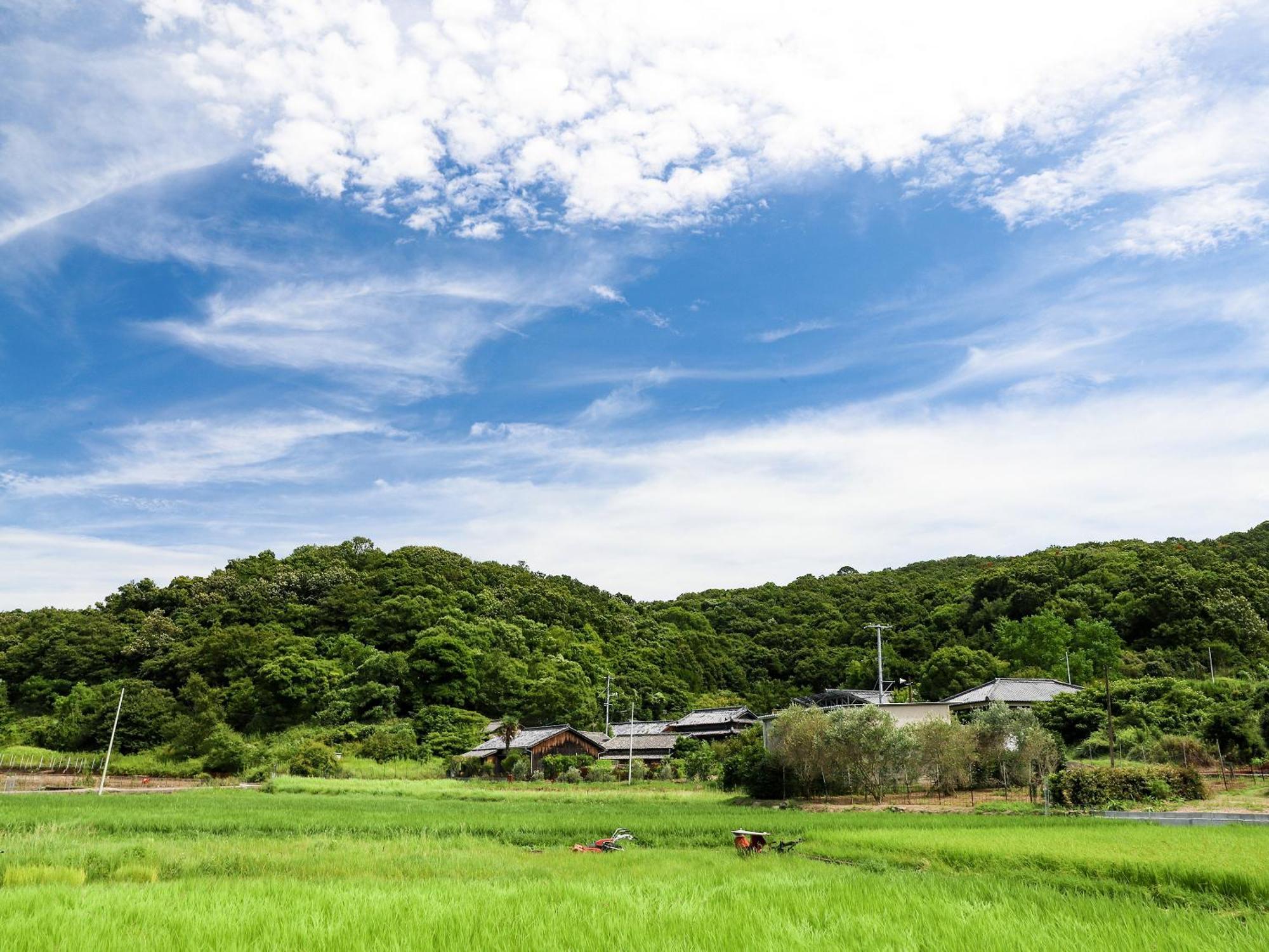 オリーブ農家の家 お泊り忠左衛門 吉野 Villa Shodoshima Dış mekan fotoğraf